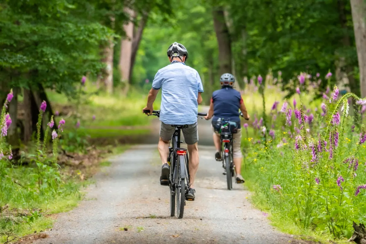 La Vélodyssée dans les Landes : itinéraires, étapes et conseils pratiques 2026